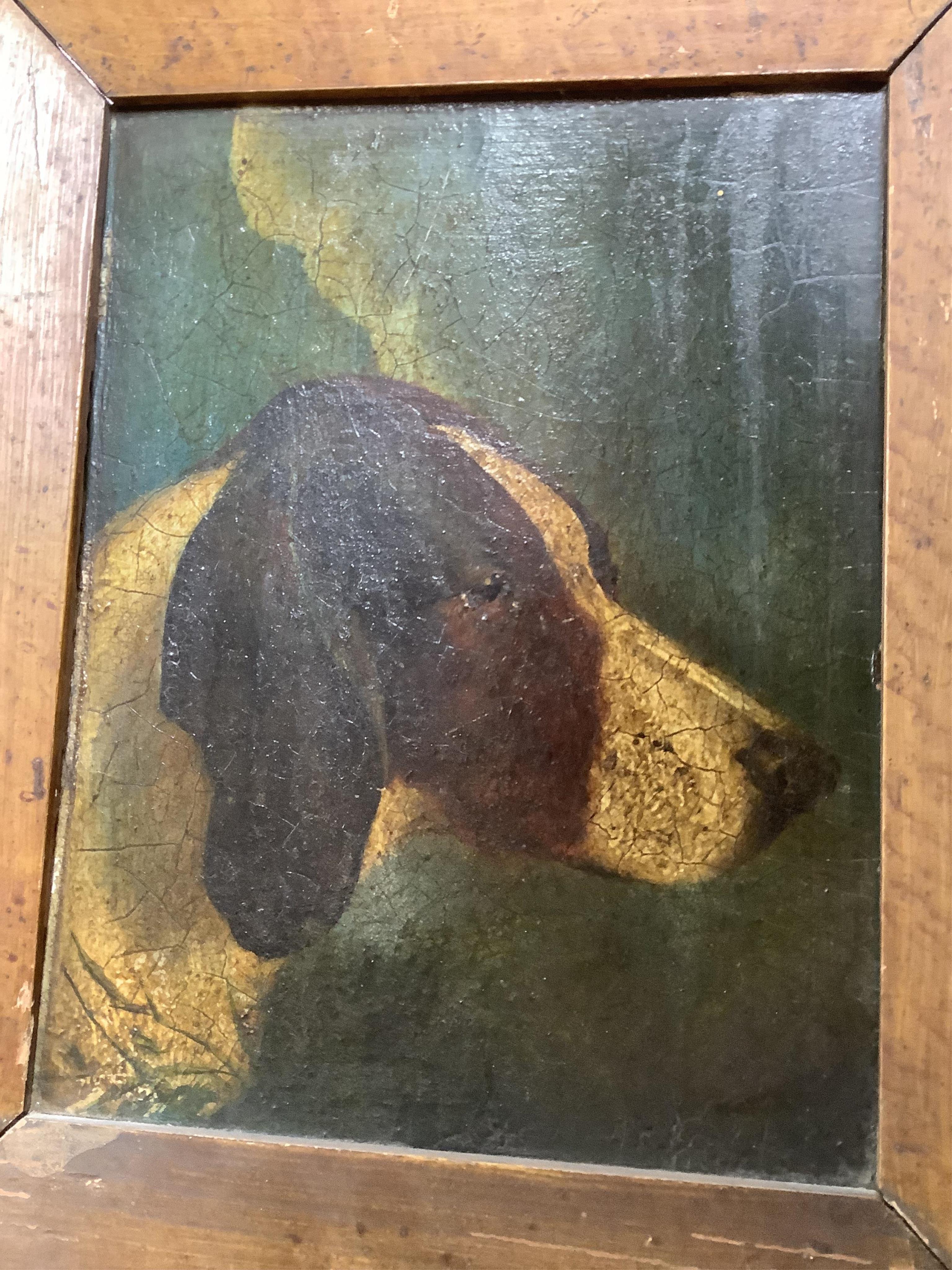 19th century, naive English School, oil on board, Study of a dog, possibly an English Pointer, 22 x 17cm. Condition - poor